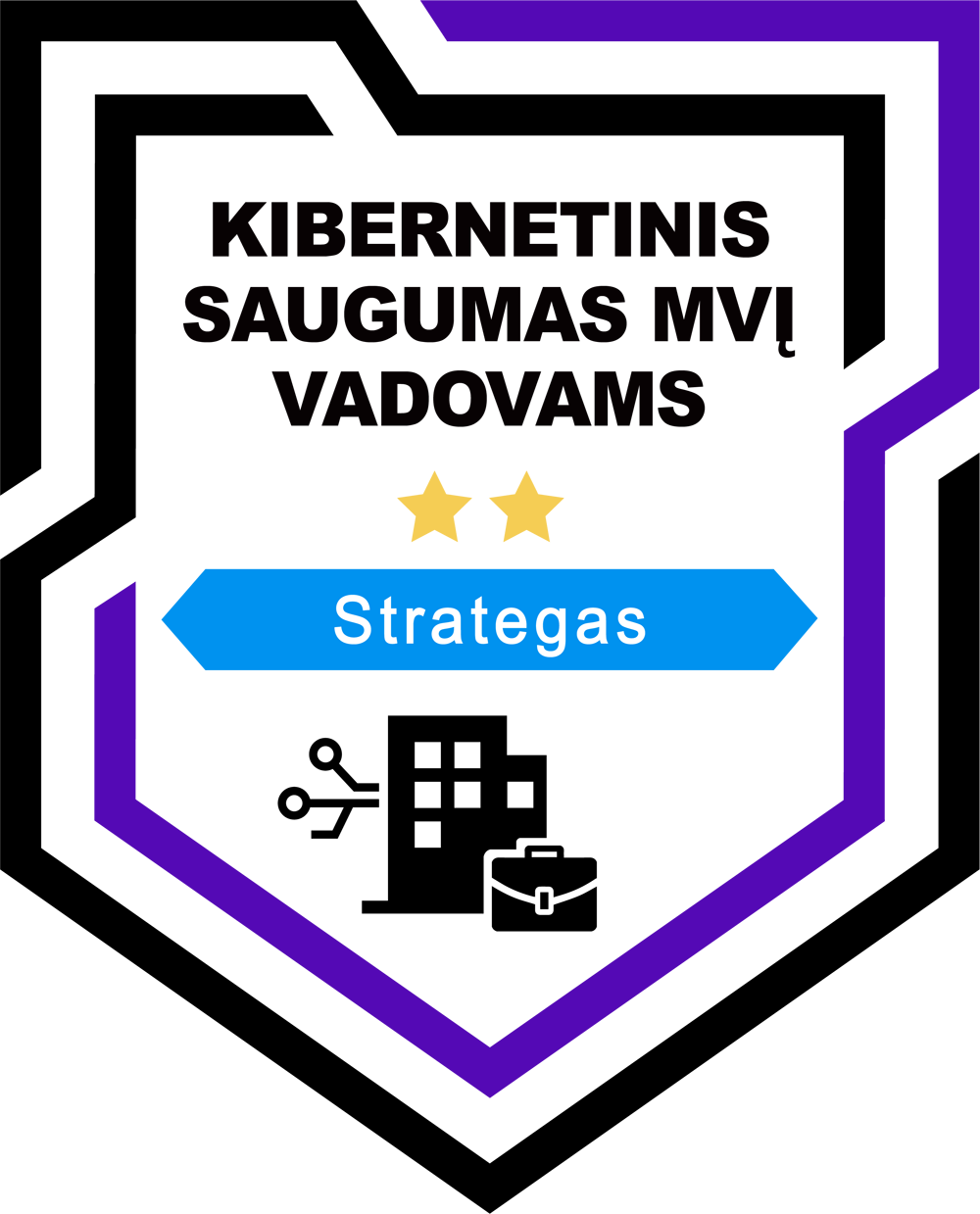 Kibernetinis saugumas MVĮ vadovams